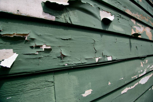 Best Custom Trim and Detailing for Siding  in St Bernard, OH