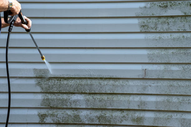 Best Wood Siding Installation  in St Bernard, OH