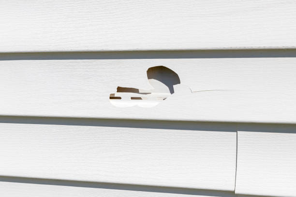  St Bernard, OH Siding Installation Pros