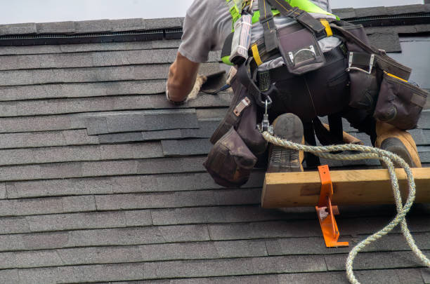 Best Storm Damage Siding Repair  in St Bernard, OH